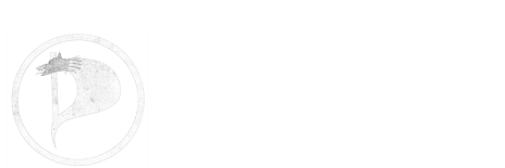 Partidul Pirat Romania